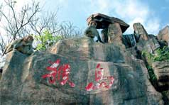 &#24179;&#21338;&#22312;&#32447;&#24179;&#21488;&#45;&#24179;&#21338;&#65288;&#20013;&#22269;&#65289;